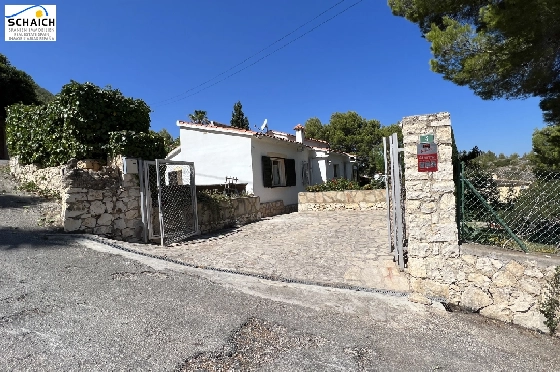 T-0423-24.webp