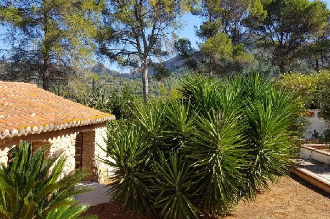 villa en Gandia en vente, construit 1300 m², terrain 200000 m², 20 salle de bains, ref.: BS-3974641-34