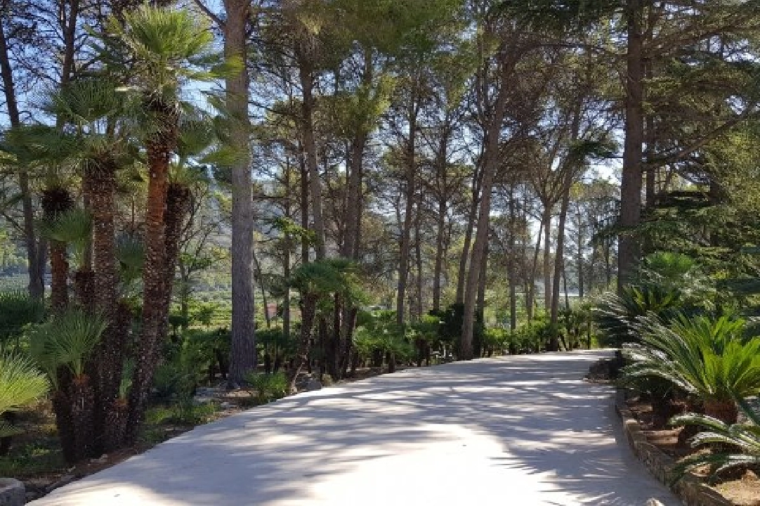 villa en Gandia en vente, construit 1300 m², terrain 200000 m², 20 salle de bains, ref.: BS-3974641-9