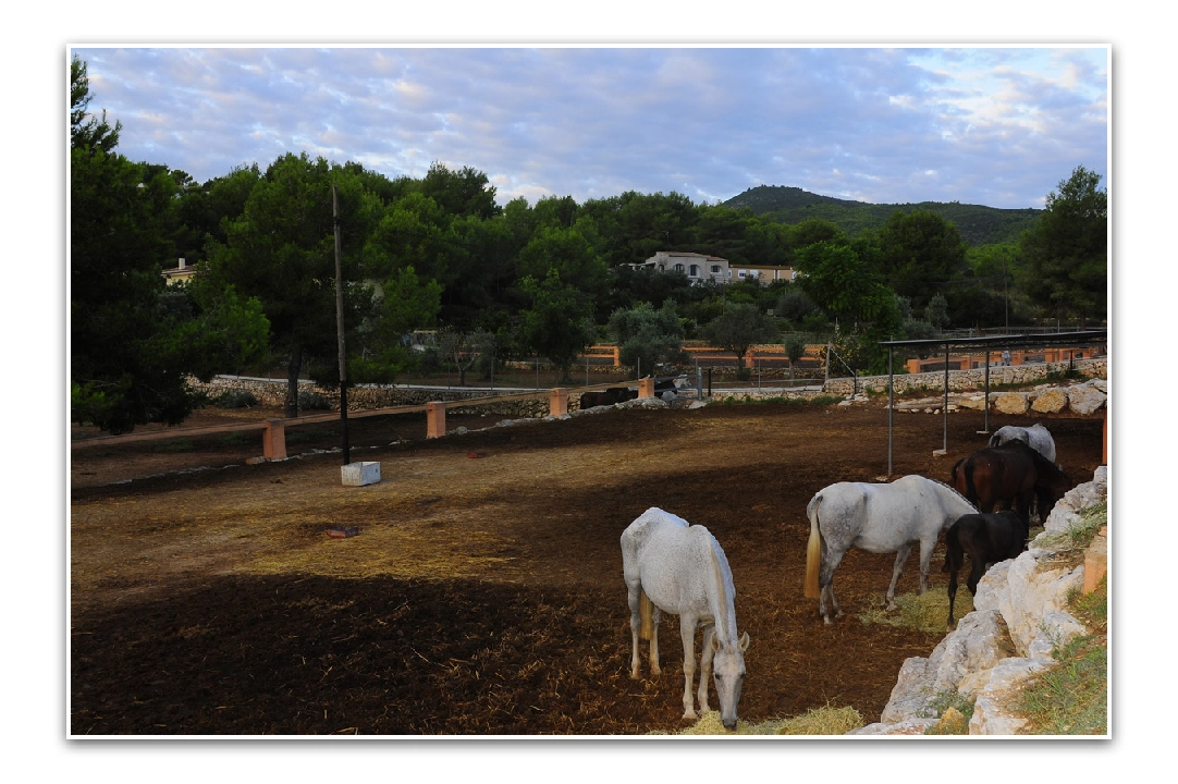 villa en Javea en vente, construit 420 m², aire acondicionado, terrain 18000 m², 5 chambre, 3 salle de bains, piscina, ref.: PR-PPS1295-20