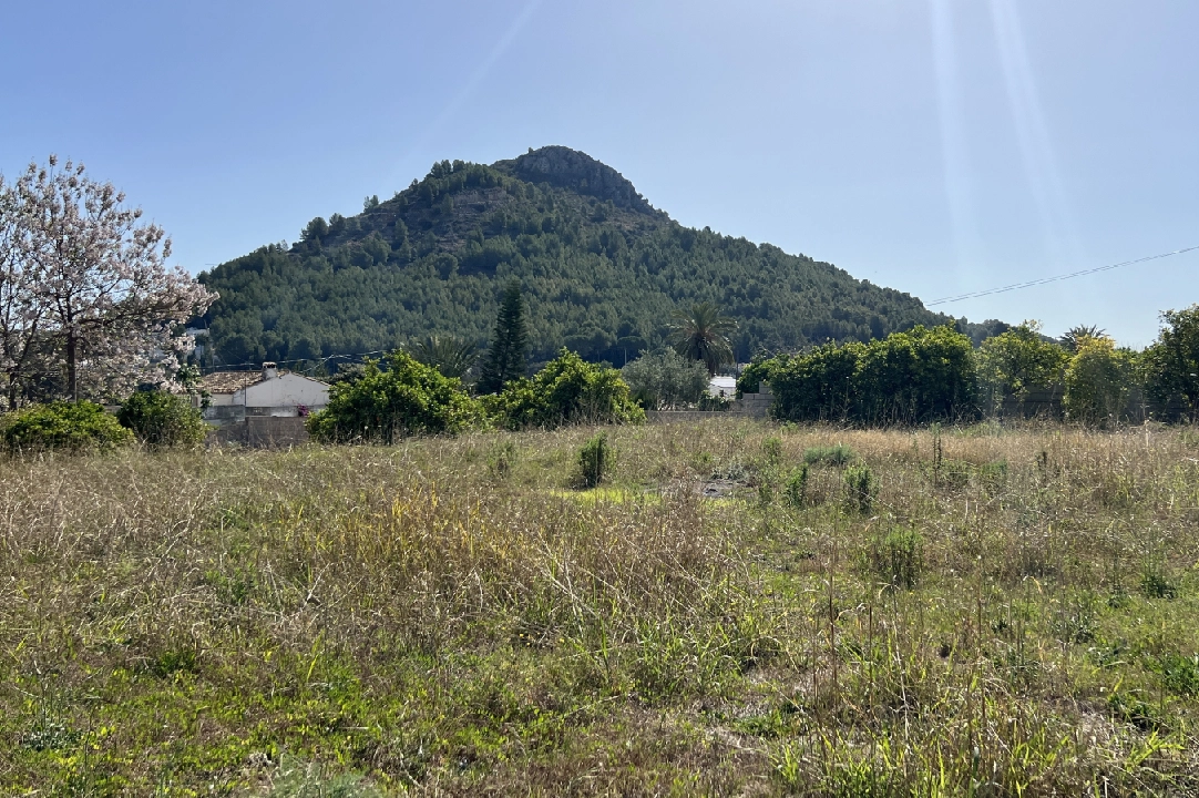 finca en Pedreguer en vente, construit 400 m², + KLIMA, terrain 12000 m², 2 chambre, 2 salle de bains, ref.: JS-0624-15