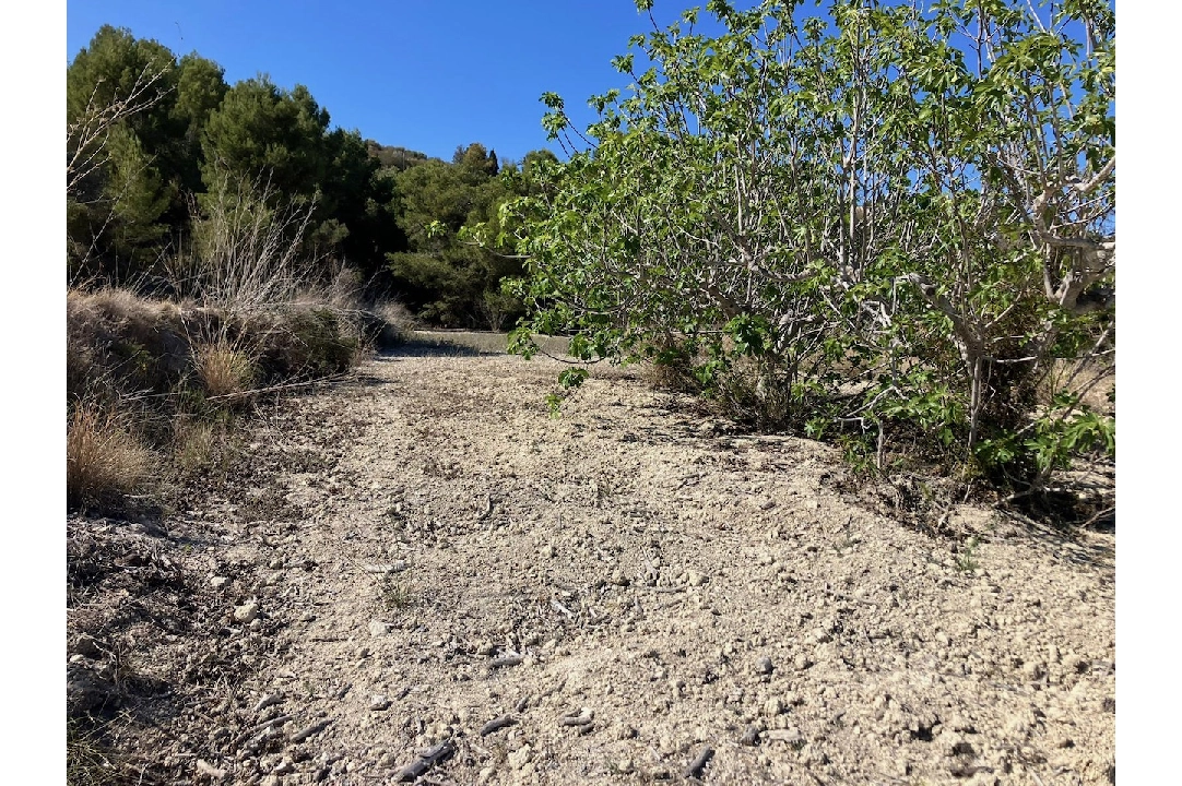 terrain en Benissa(Benissa) en vente, terrain 10894 m², ref.: CA-G-1771-AMB-10