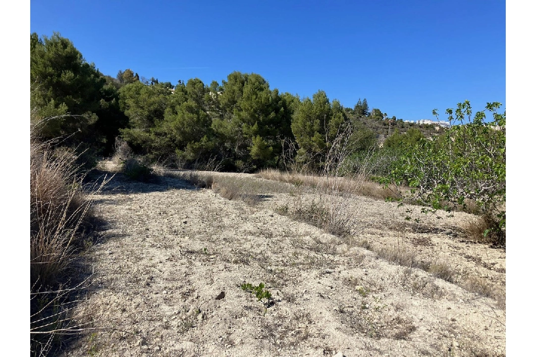 terrain en Benissa(Benissa) en vente, terrain 10894 m², ref.: CA-G-1771-AMB-13