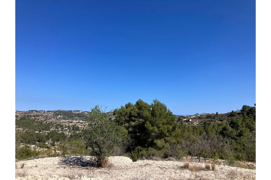 terrain en Benissa(Benissa) en vente, terrain 10894 m², ref.: CA-G-1771-AMB-3