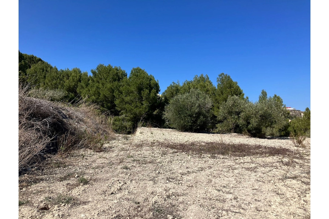 terrain en Benissa(Benissa) en vente, terrain 10894 m², ref.: CA-G-1771-AMB-5