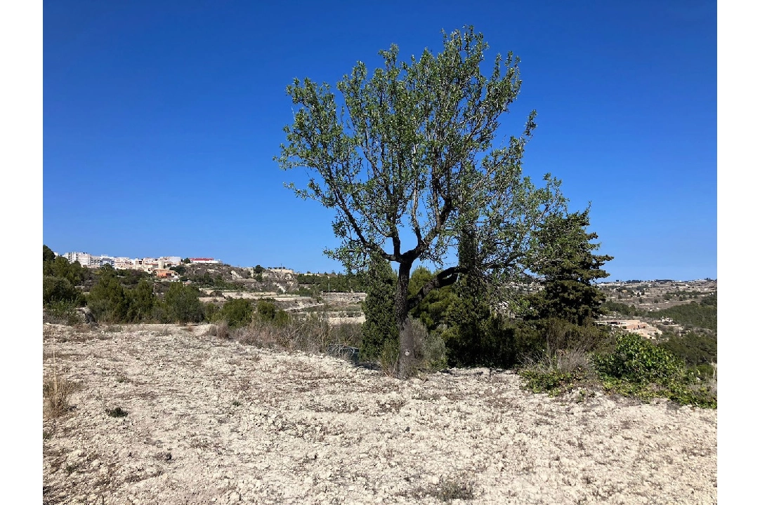 terrain en Benissa(Benissa) en vente, terrain 10894 m², ref.: CA-G-1771-AMB-6