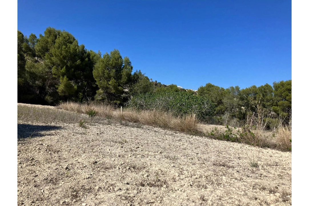 terrain en Benissa(Benissa) en vente, terrain 10894 m², ref.: CA-G-1771-AMB-9