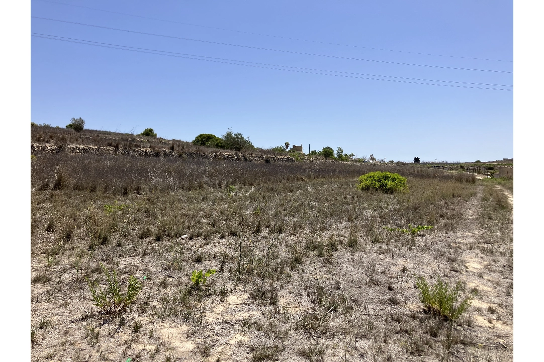 terrain en Benissa(Partida Berdica) en vente, terrain 14000 m², ref.: CA-G-1793-AMB-4