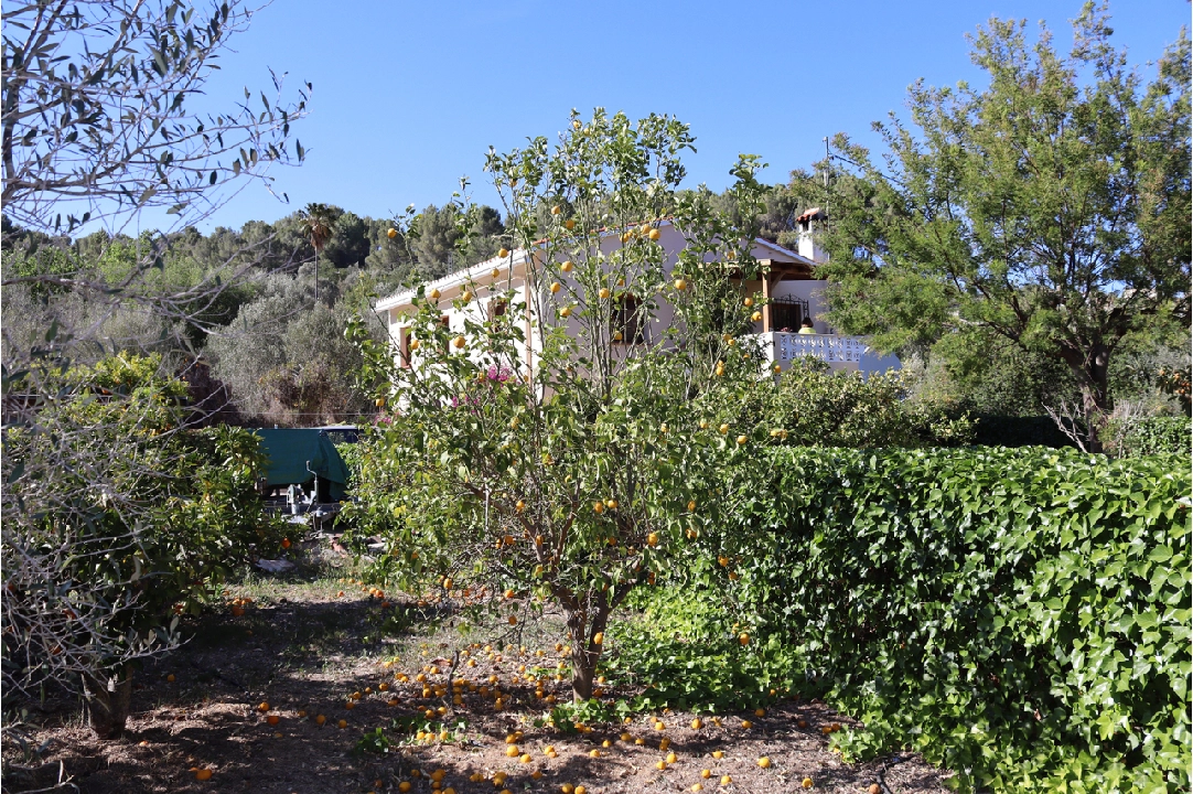 finca en Parcent en vente, construit 140 m², terrain 830 m², 3 chambre, 1 salle de bains, ref.: PT-24005-20