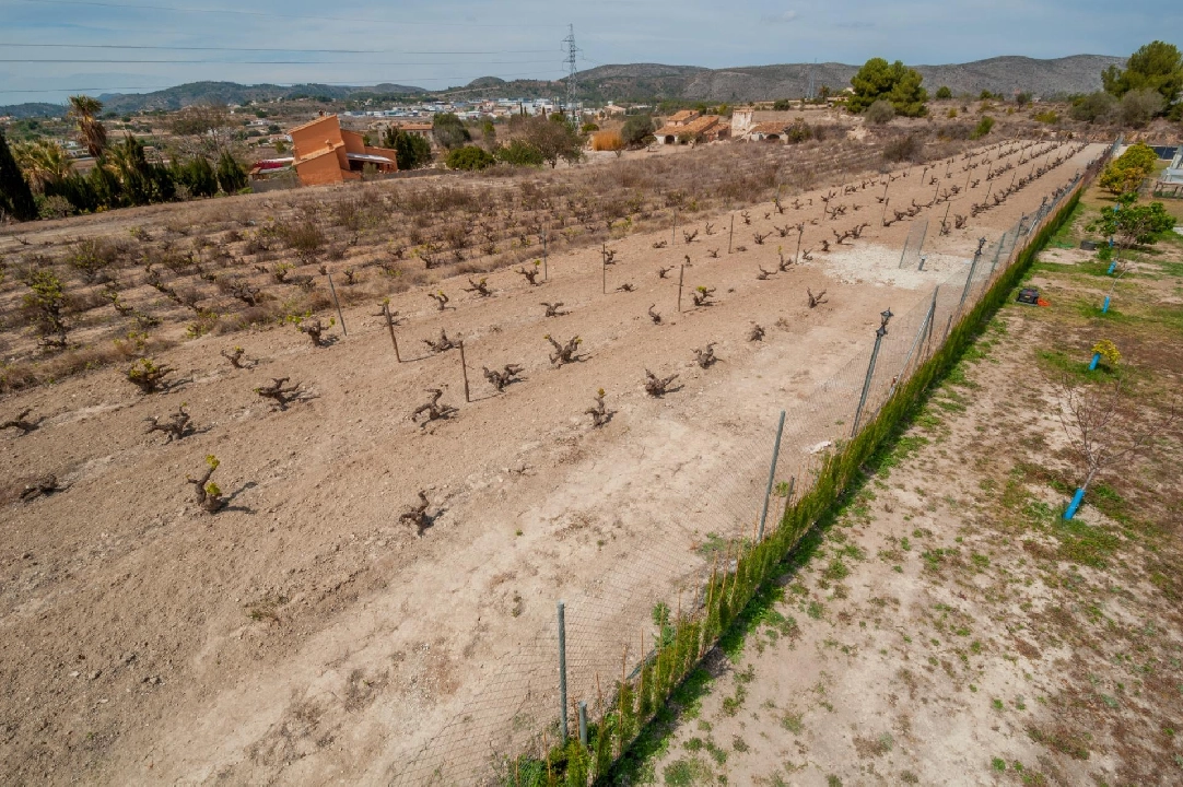 finca en Teulada(Zona de la playa) en vente, construit 238 m², aire acondicionado, terrain 14129 m², 5 chambre, 4 salle de bains, piscina, ref.: COB-3457-10535-34