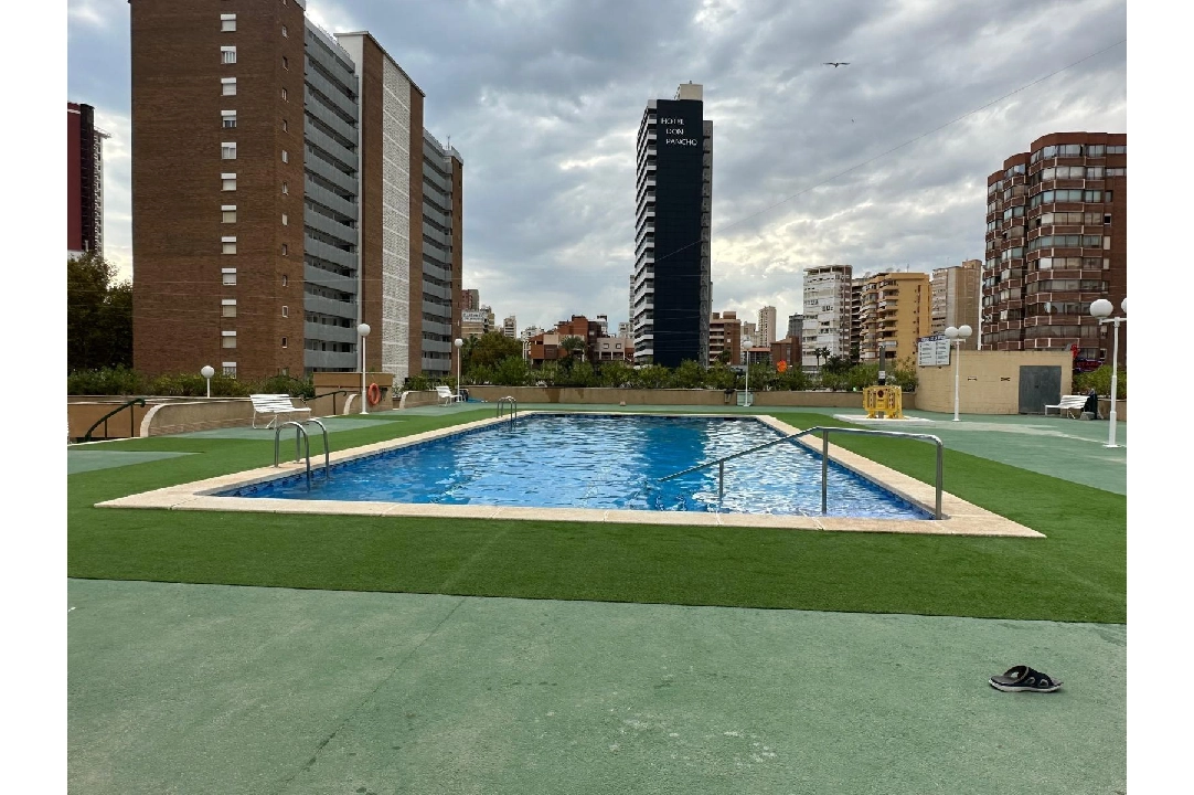 appartement en Benidorm(Avenida del Mediterraneo) en vente, construit 63 m², aire acondicionado, 1 chambre, 1 salle de bains, piscina, ref.: COB-13065-10535-10