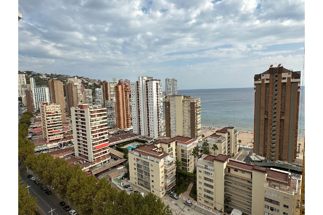 appartement en Benidorm(Avenida del Mediterraneo) en vente, construit 63 m², aire acondicionado, 1 chambre, 1 salle de bains, piscina, ref.: COB-13065-10535-3