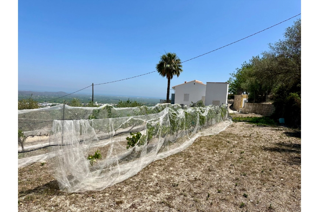 finca en Pego en vente, construit 83 m², ano de construccion 1947, aire acondicionado, terrain 7080 m², 2 chambre, 1 salle de bains, piscina, ref.: O-V91914-11