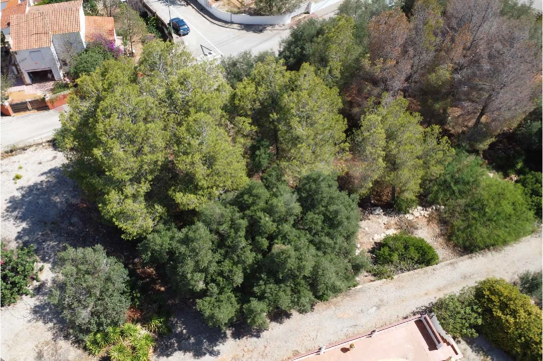 terrain en Denia(Don Quijote) en vente, terrain 3034 m², ref.: BP-8192DEN-5