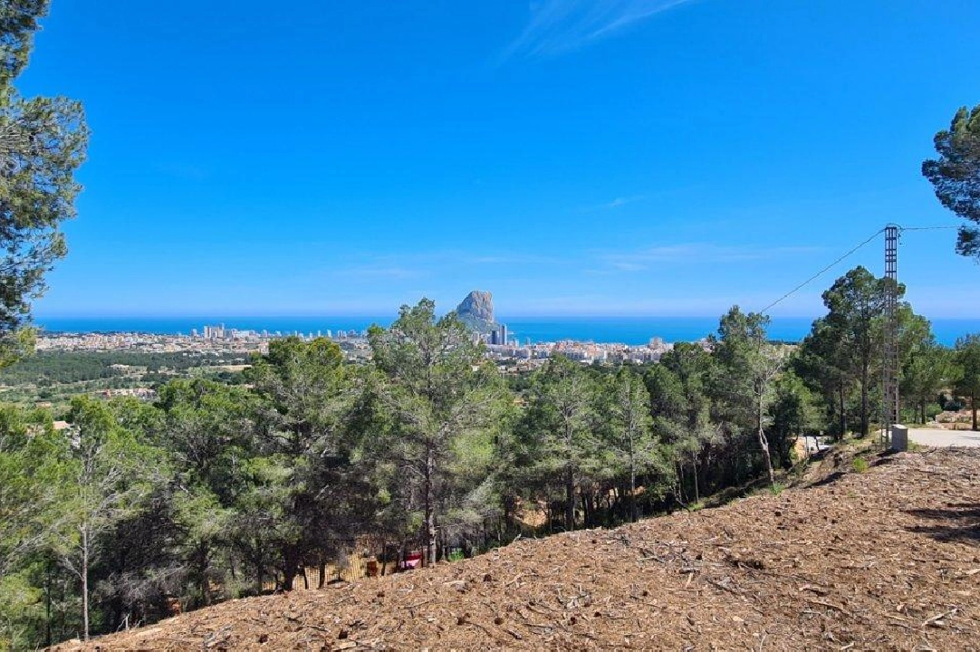 terrain en Calpe en vente, aire acondicionado, terrain 5150 m², piscina, ref.: AM-11749NS-5