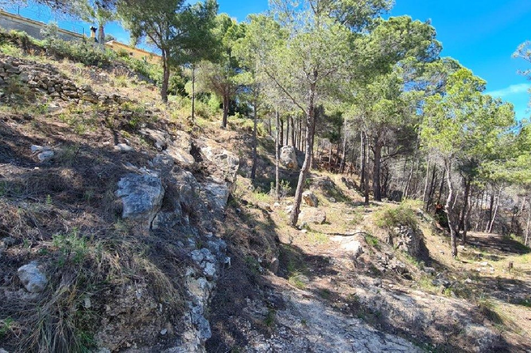 terrain en Calpe en vente, aire acondicionado, terrain 2500 m², piscina, ref.: AM-11750DA-1