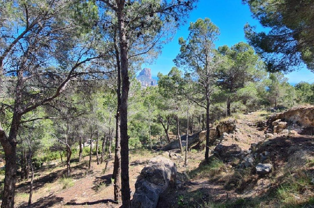 terrain en Calpe en vente, aire acondicionado, terrain 2500 m², piscina, ref.: AM-11750DA-5