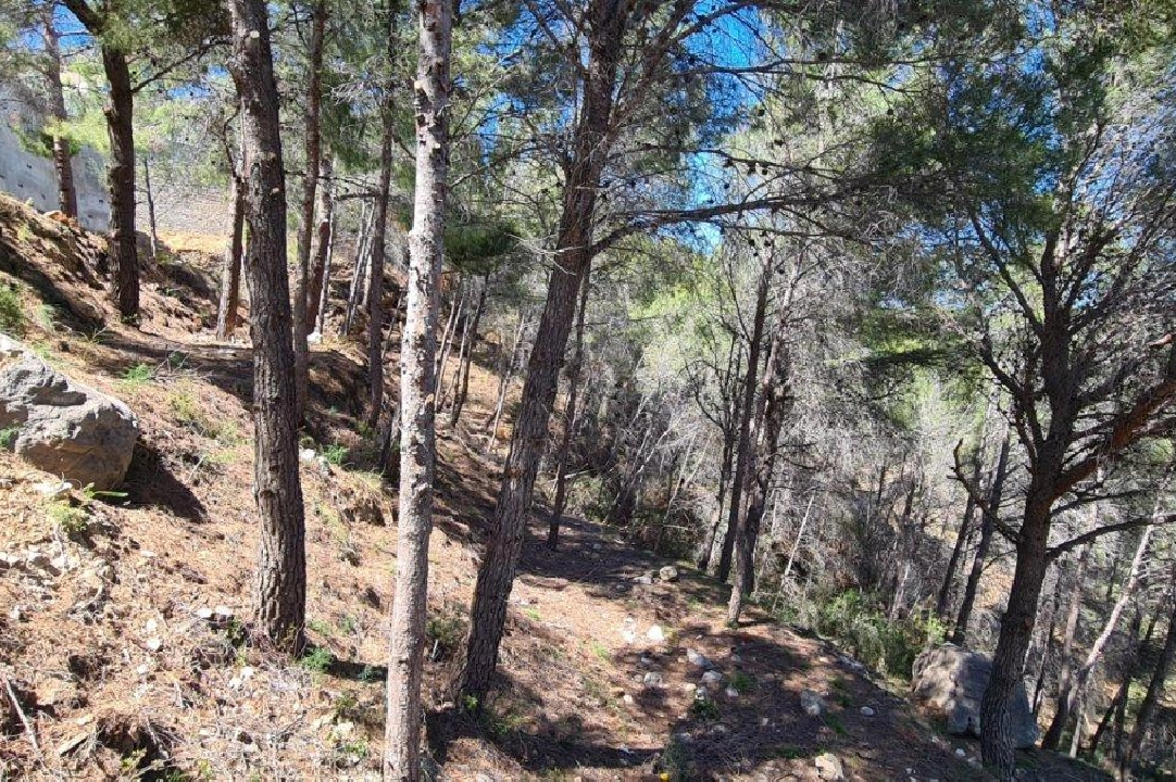 terrain en Calpe en vente, aire acondicionado, terrain 2500 m², piscina, ref.: AM-11750DA-6