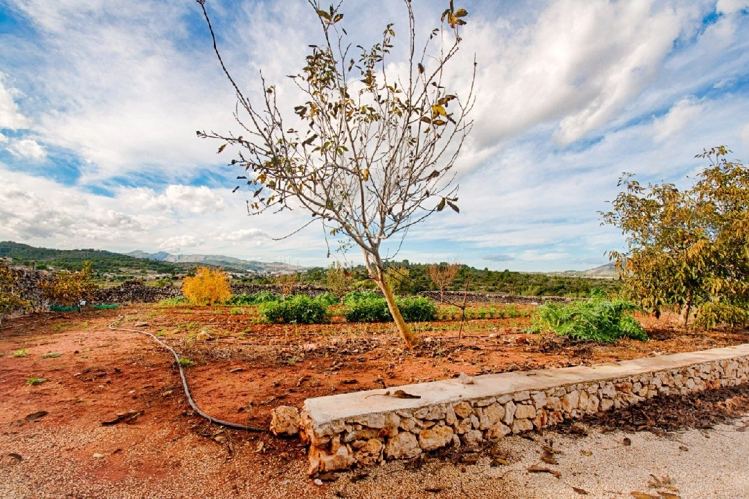 finca en Gata de Gorgos en vente, construit 450 m², ano de construccion 1900, + estufa, aire acondicionado, terrain 20000 m², 4 chambre, 2 salle de bains, piscina, ref.: AM-11846DA-20