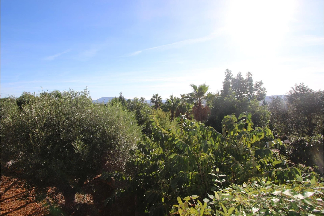 finca en Benissa(Canor) en vente, construit 960 m², terrain 15000 m², 15 chambre, 14 salle de bains, piscina, ref.: COB-3322-10535-28