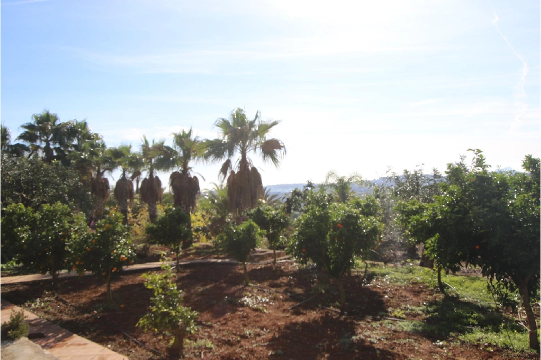 finca en Benissa(Canor) en vente, construit 960 m², terrain 15000 m², 15 chambre, 14 salle de bains, piscina, ref.: COB-3322-10535-48