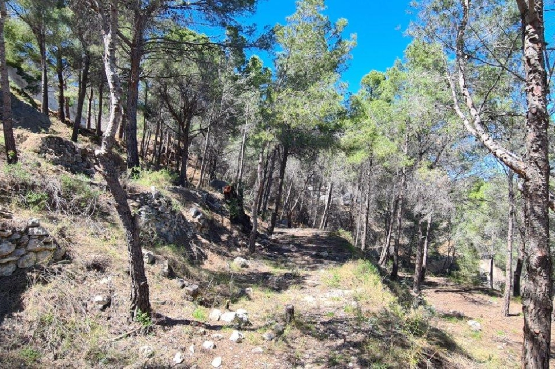 terrain en Calpe en vente, aire acondicionado, terrain 2500 m², ref.: AM-11750NS-4