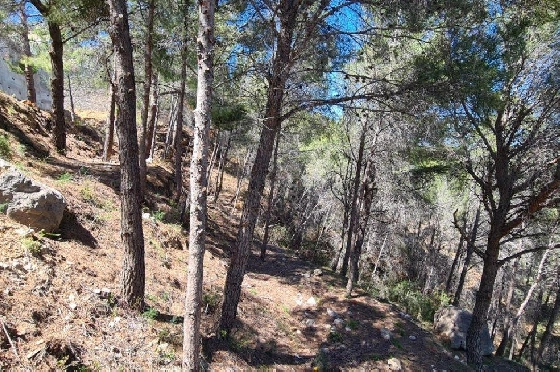 Wohngrundstück in Calpe zu verkaufen, Klimaanlage, Grundstück 2500 m², Pool, ref.: AM-11750NS-6