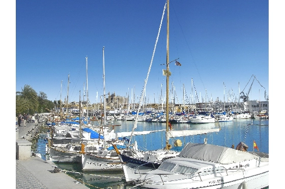 Apartment in Palma De Mallorca zu verkaufen, Wohnfläche 105 m², Grundstück 114 m², 3 Schlafzimmer, 2 Badezimmer, ref.: TW-COR-39,-PALMA-18