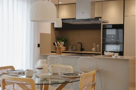 Penthouse Apartment in Algorfa zu verkaufen, Wohnfläche 166 m², Zustand Erstbezug, Klimaanlage, 2 Schlafzimmer, 2 Badezimmer, Pool, ref.: HA-ARN-115-A03-4